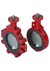 Bray resilient seated butterfly valve
