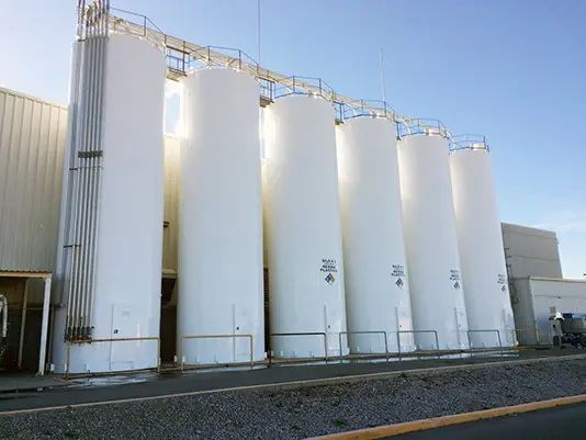 Industrial welded dry bulk storage silo